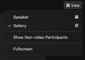 Zmiana układu wideo w Zoom - widok speakera i galerii